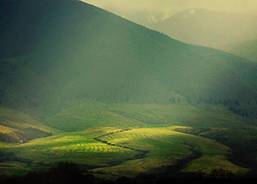 短信免费轰炸网页